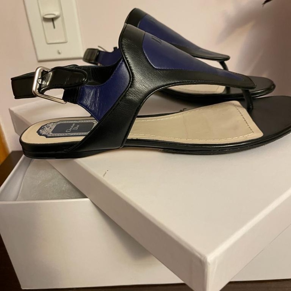Dior Chromatic Thong Shoes